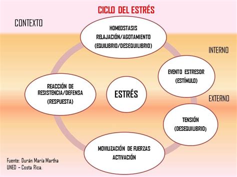 Esquema sobre el ciclo del estrés y la importancia del autocuidado