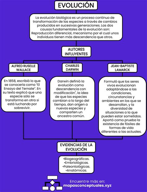 Esquema de la evolución del concepto de carga del cuidador