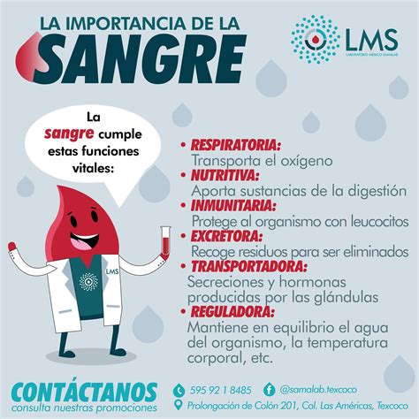 Infografía sobre la preparación para exámenes de sangre: importancia del ayuno y la hidratación.