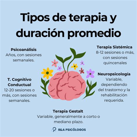 Infografía mostrando diferentes tipos de terapias para adultos mayores: fisioterapia, terapia ocupacional y fonoaudiología