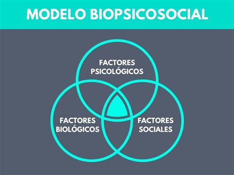 Esquema del modelo biopsicosocial: la interacción entre la persona, su condición de salud y los factores ambientales (barreras y facilitadores).