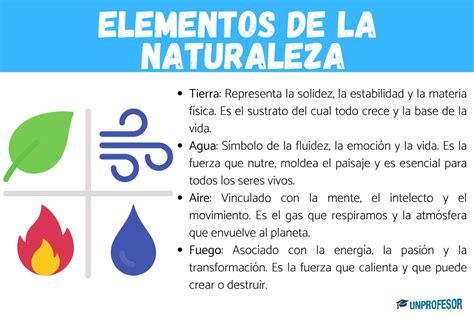 Bebé en brazos observando elementos de la naturaleza en un jardín.