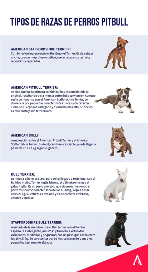 Ilustración de época que muestra a un perro tipo pitbull jugando pacíficamente con niños pequeños.