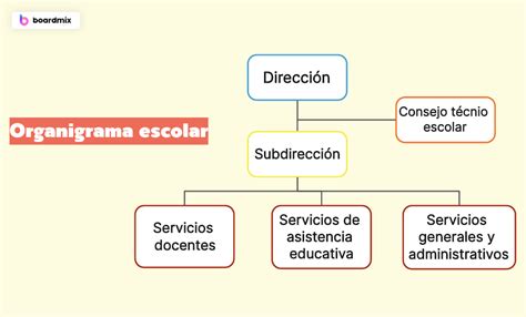 Esquema de las funciones principales de una institución de discapacidad