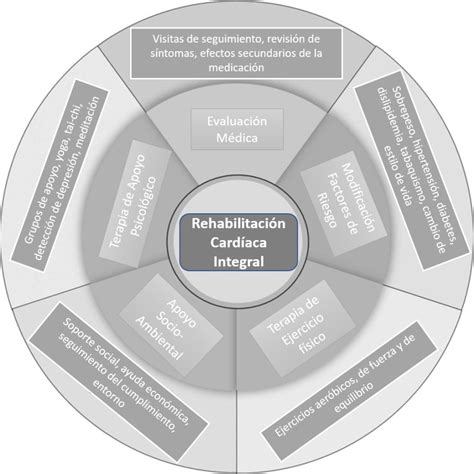 Gráfico sobre los pilares de la rehabilitación integral