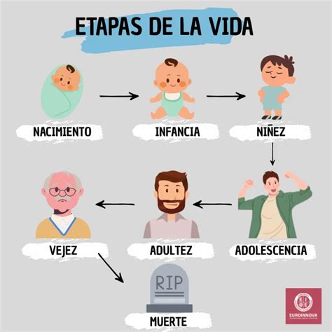 Esquema de las etapas de la vida con énfasis en el envejecimiento y la vulnerabilidad