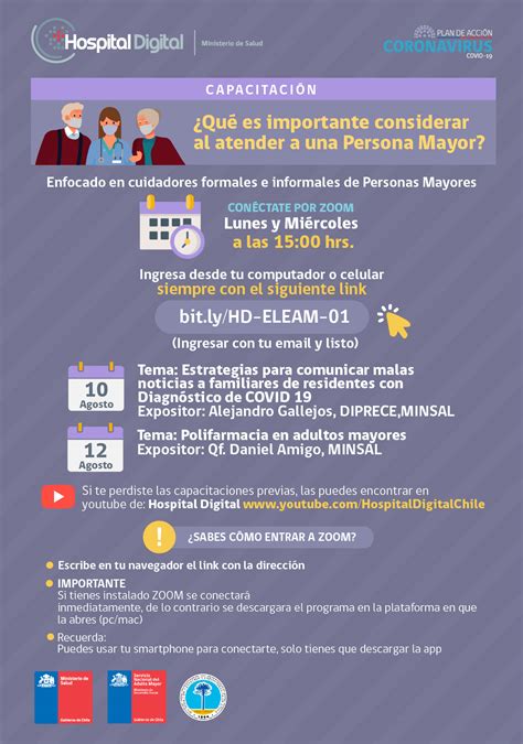 esquema de la estrategia de respuesta a la pandemia para ELEAM y personas mayores en domicilio