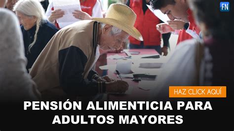 Gráfico: Flujo de la obligación de pensión alimenticia para adultos mayores