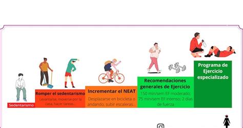 Gráfico que muestra la relación entre actividad física y capacidad funcional en adultos mayores