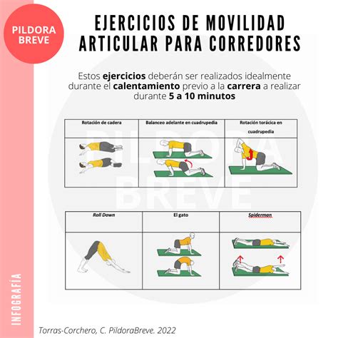 Infografía con tipos de ejercicios para la movilidad en ancianos: aeróbico, fuerza, flexibilidad y equilibrio.