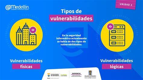 Infografía: Tipos de vulnerabilidades y ejemplos de explotación