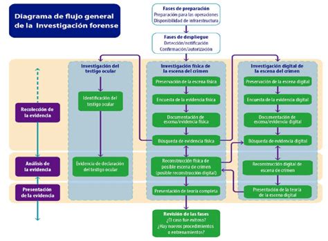 Gráfico o esquema del proceso de investigación forense