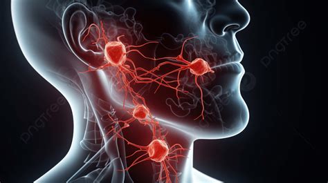 Imagen de un médico palpando ganglios linfáticos en el cuello de un paciente