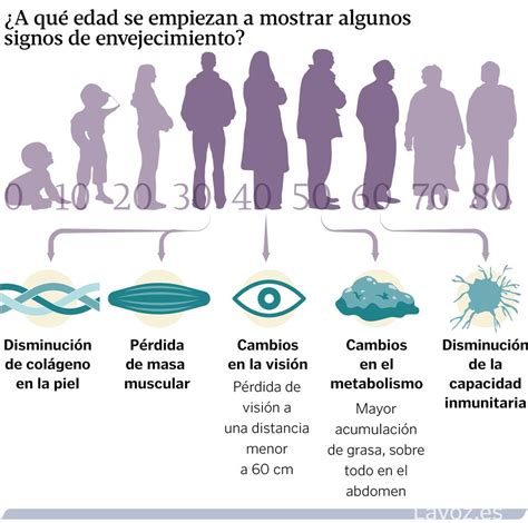 Esquema de los efectos del envejecimiento en el cuerpo humano