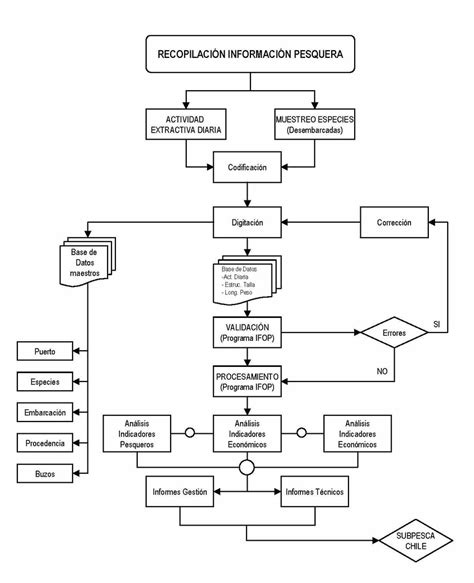 Diagrama de flujo del sistema de protección a la niñez en Chile