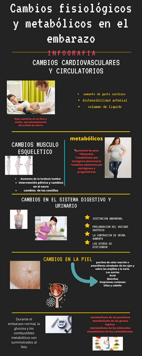 Infografía sobre los cambios metabólicos y nutricionales en la tercera edad