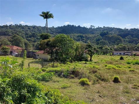 Terreno elegido para la comunidad Bem Viver en Mogi das Cruzes, con lago natural y árboles