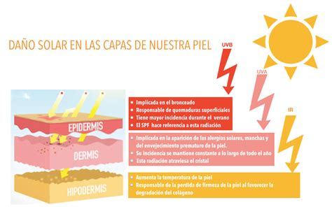 Ilustración comparativa del daño solar en la piel y el efecto protector de los ácidos grasos omega-3.