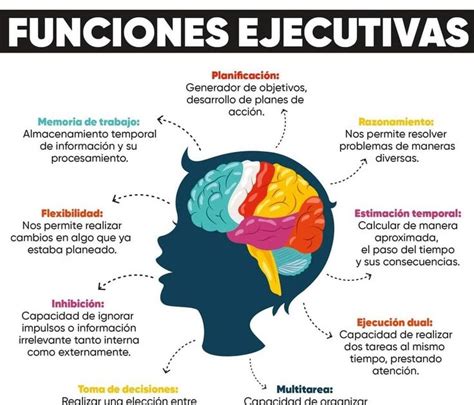 Infografía que detalla las interconexiones entre los diferentes componentes de las funciones ejecutivas.