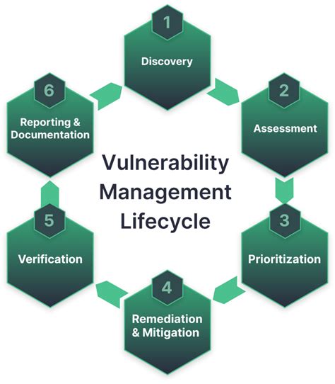 Esquema del ciclo de vida de la gestión de vulnerabilidades