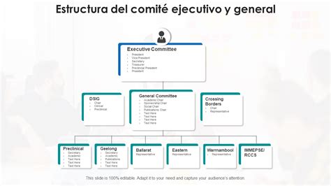 Esquema de la estructura de los Comités Municipales de Discapacidad y su relación con otras entidades