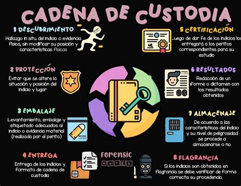 Infografía: Criterios de admisibilidad y etapas del concurso SENADIS