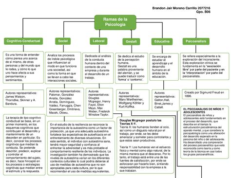Esquema de las diferentes terapias de rehabilitación