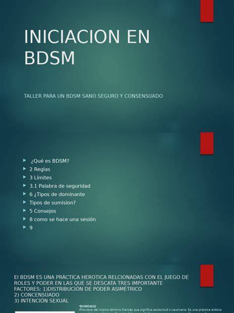Infografía sobre roles en BDSM: dominación, sumisión, y negociación de límites
