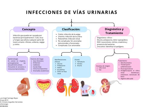 Esquema de las vías urinarias y respiratorias con enfoque en puntos de infección