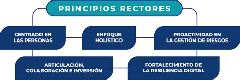 Infografía que resume el objeto y los principios rectores del Servicio Nacional de Protección Especializada.
