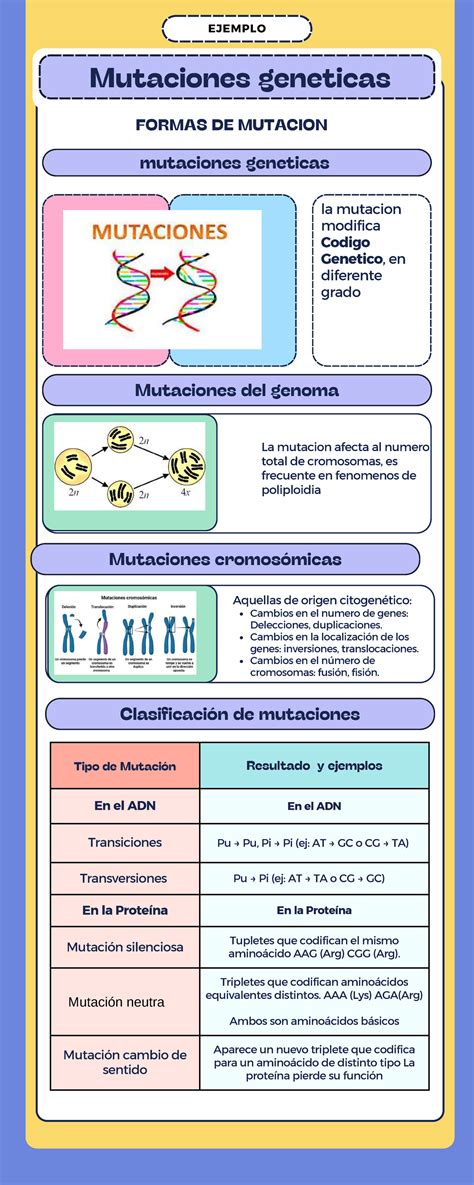Infografía sobre las causas genéticas y neurobiológicas de la dislexia