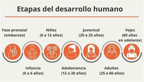 Esquema de las etapas de desarrollo humano, destacando la adolescencia