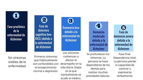 Infografía mostrando las etapas de progresión de la enfermedad de Alzheimer y cómo los cuidados paliativos pueden integrarse en cada una.
