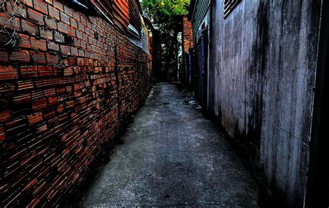 Callejón de campus transformado en punto focal