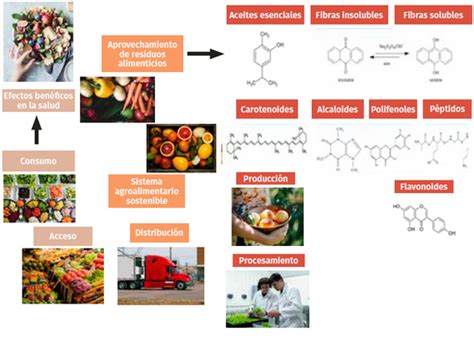 Infografía detallada sobre los nutrientes y compuestos bioactivos de las frambuesas