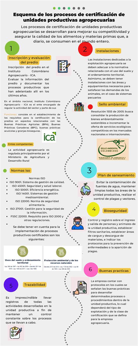 Esquema del proceso de certificación de discapacidad