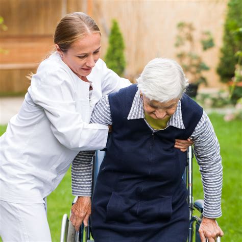 Esquema de las necesidades de apoyo en adultos mayores dependientes