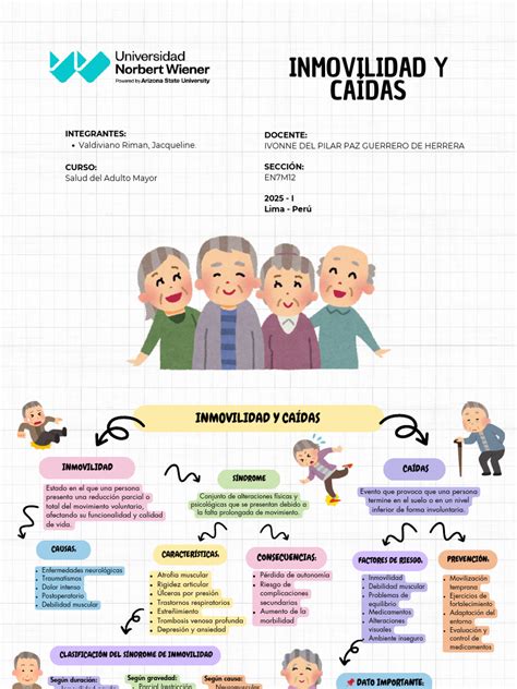 Infografía: Causas y efectos de la inmovilidad en adultos mayores
