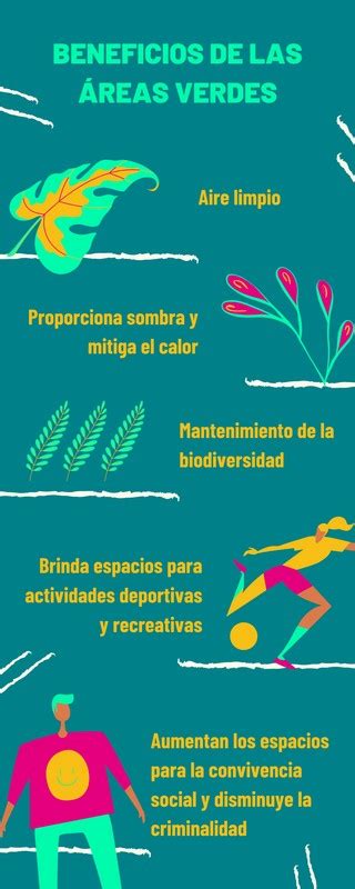 Infografía: Distribución del tamaño de las áreas verdes en Santiago y su relación con el nivel socioeconómico
