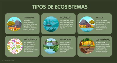 Infografía mostrando los diferentes tipos de estadías en Acalis