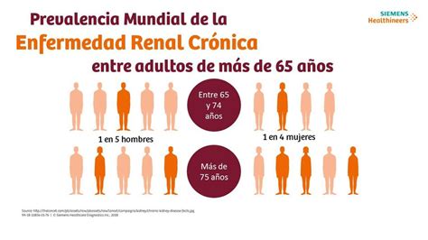 Infografía sobre la prevalencia de la enfermedad renal crónica y la necesidad de cuidados paliativos en adultos mayores