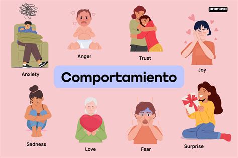 Representación teórica de dinámicas de comportamiento animal y humano en contextos de comportamiento no convencional