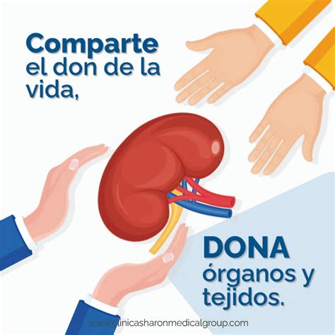 Ilustración que representa el acto de donación a una organización de apoyo social