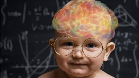 Esquema del desarrollo cerebral en la infancia
