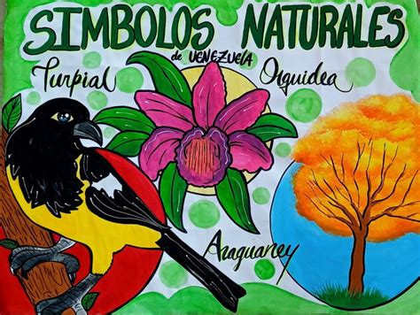 Infografía comparando el sistema de símbolos naturales y el código Feelipa para colores