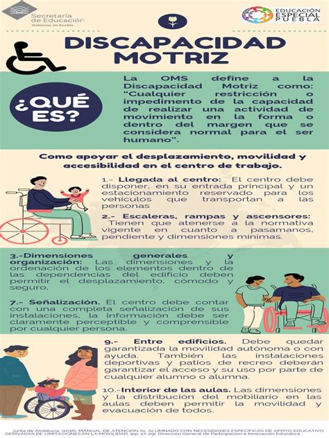 Infografía: Tipos de discapacidad motriz