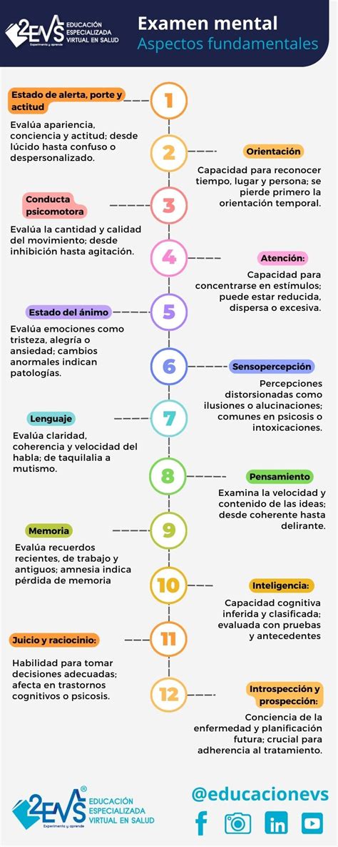 Esquema o infografía de los componentes del examen del estado mental en adultos mayores