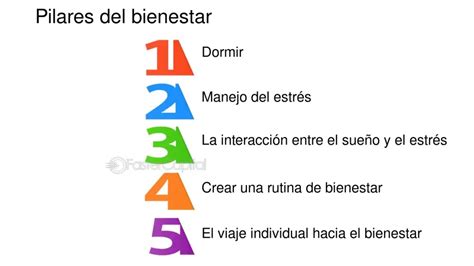 Infografía que ilustra los pilares del bienestar en la tercera edad: estimulación cognitiva, socialización y salud emocional a través de los libros.