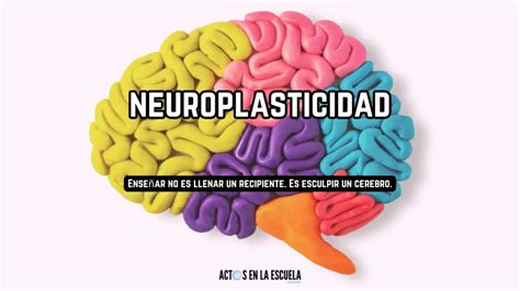 Esquema sobre la neuroplasticidad: cómo la lectura constante aumenta la conectividad neuronal y reduce el riesgo de enfermedades degenerativas como el Alzheimer o Parkinson.