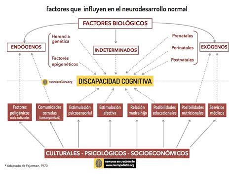 Esquema de las interacciones entre una persona con discapacidad cognitiva y su entorno